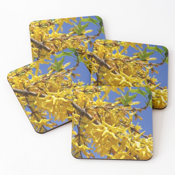 Item preview, Forsythia in bloom designed and sold by Boscastle.