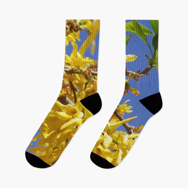Item preview, Forsythia in bloom designed and sold by Boscastle.