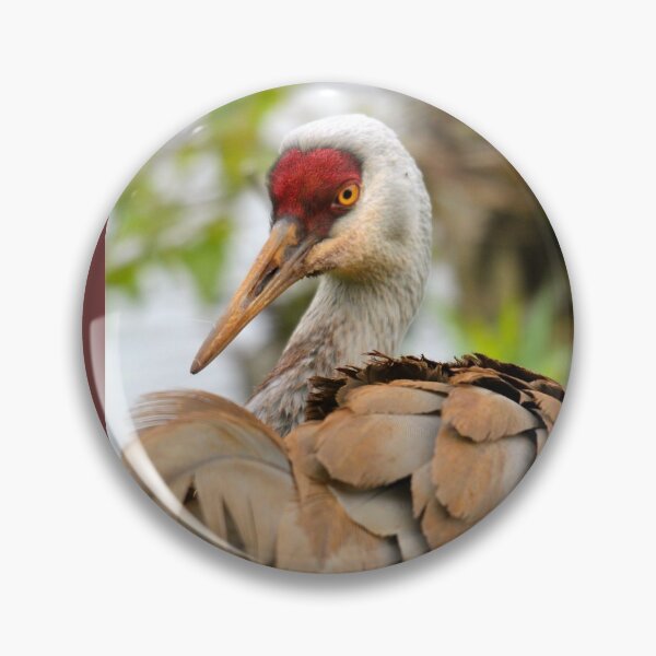 Item preview, Sandhill Crane designed and sold by RichImage.
