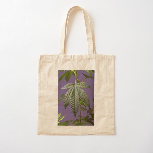 I strive to develop photographs that speak to me and others about the beauty that exists in Cannabis plants.
Part of my process when photographing is to question growers and learn everything I can about their plants.
I don’t only wish to captur Cotton Tote Bag