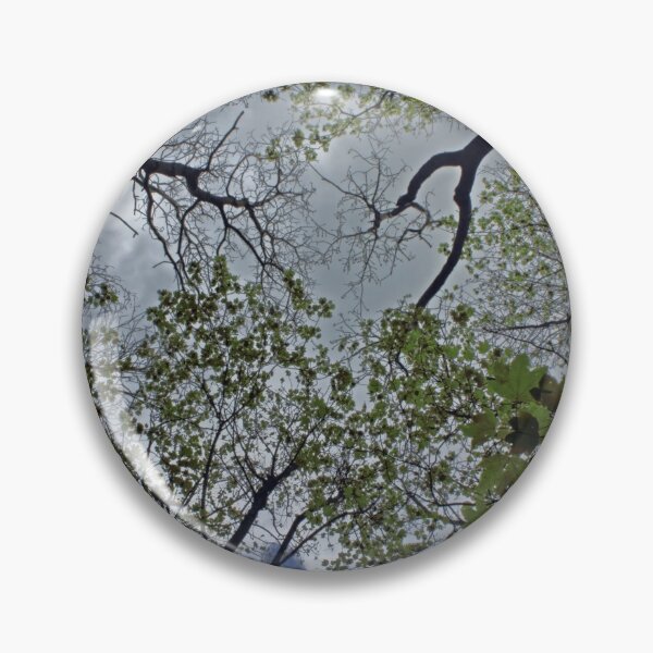 Item preview, Tree canopy in the spring designed and sold by Avril Harris.