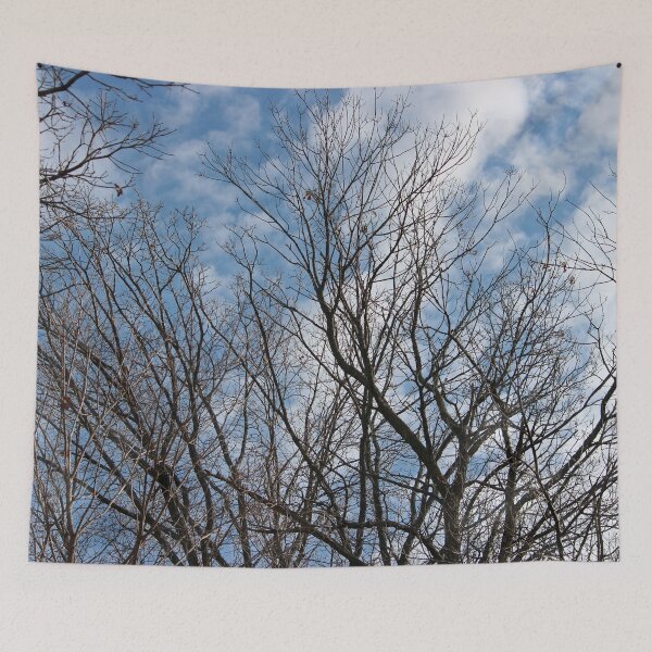 Item preview, Blue Skies and Bare Branches designed and sold by Susie Kramer.