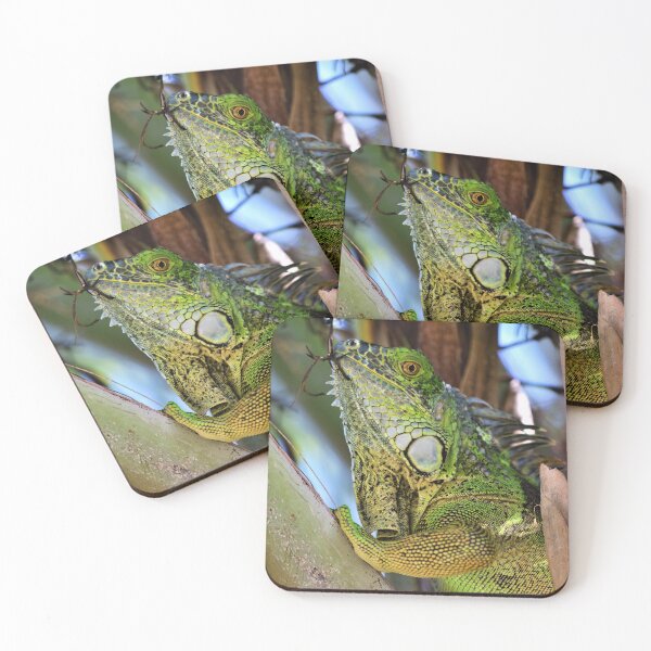 Item preview, Inquisitive Iguana designed and sold by ChatStroh.