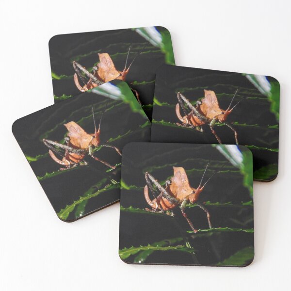 Item preview, Grasshopper designed and sold by matcha-bee.