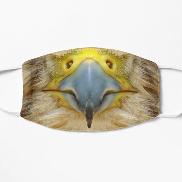 Hawk face Mask