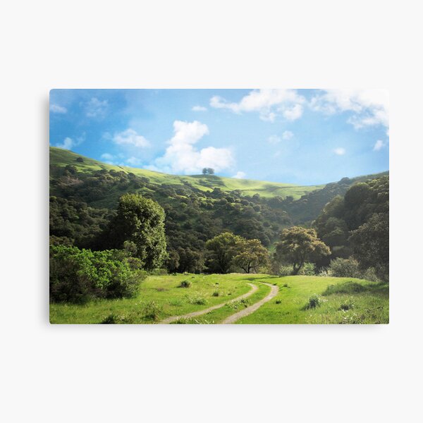 Springtime in Fremont Metal Print