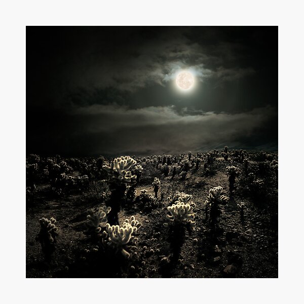 Joshua Photographic Print