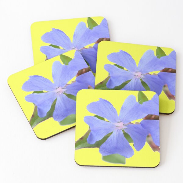 Item preview, Ceratostigma plumbaginoides AGM Hardy blue-flowered leadwort designed and sold by Chris Burrows.
