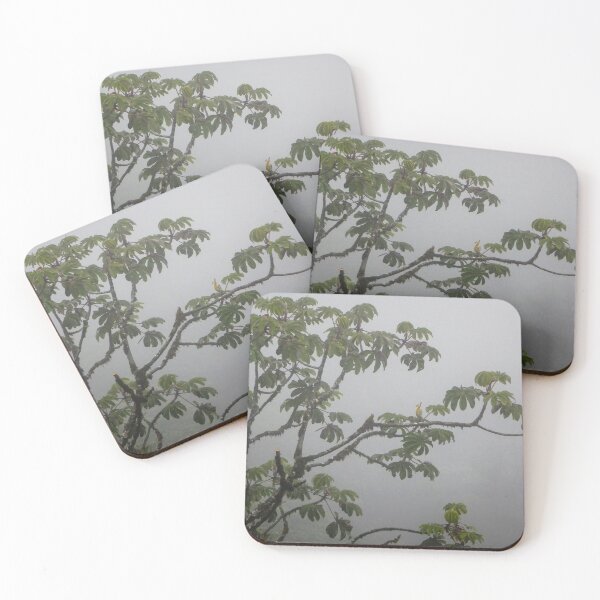 Item preview, Costa Rica designed and sold by matcha-bee.