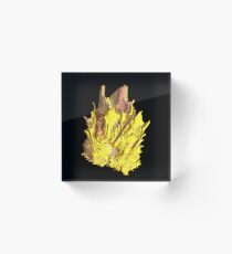 "Tall Castle" Acrylic Block