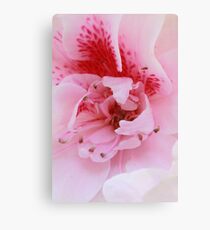 1st day of spring (sooc) Canvas Print