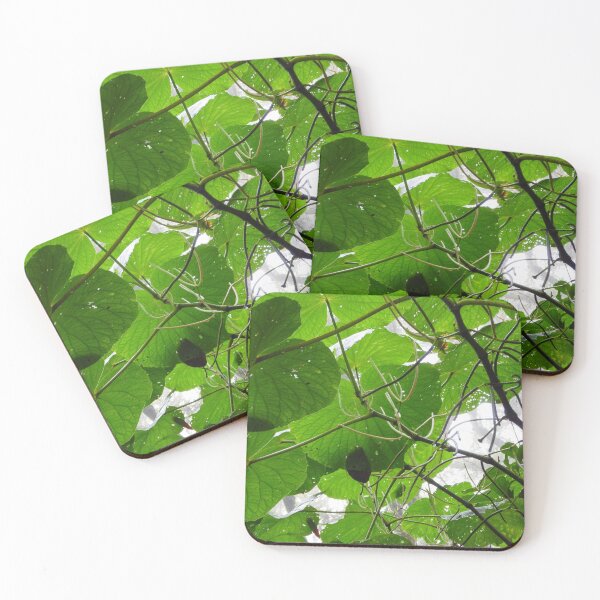 Item preview, Leaves designed and sold by matcha-bee.