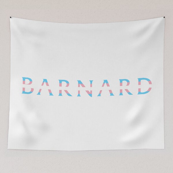 Item preview, Barnard Transgender Flag designed and sold by dutchesskmw.