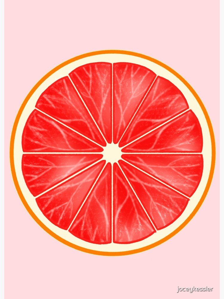 "Grapefruit drawing" Art Board Print for Sale by joceykessler Redbubble