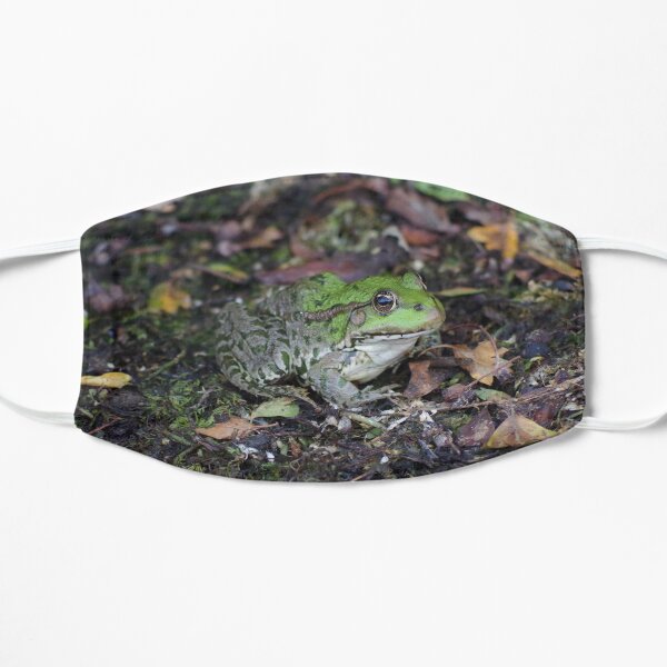 Marsh Frog Mask