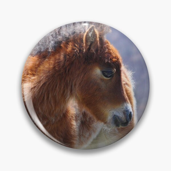 Item preview, Bashful One designed and sold by Karen Peron.