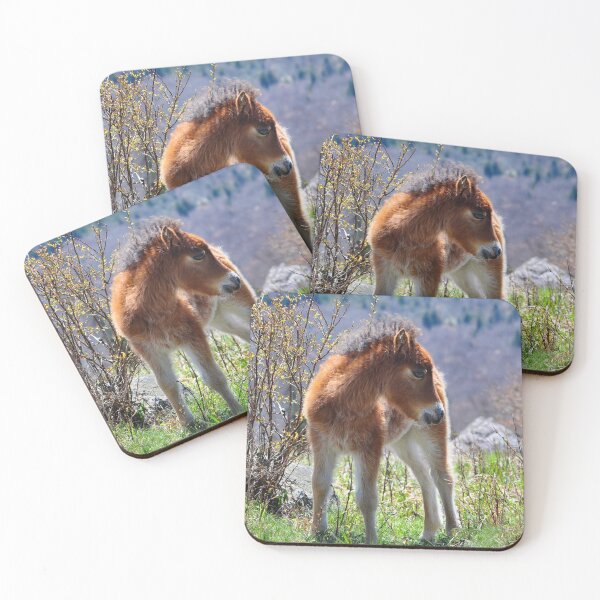 Item preview, Bashful One designed and sold by Karen Peron.