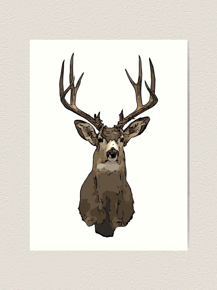 "Modern Rustic Mule Deer Wall Mount Illustration" Art Print by