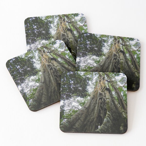 Item preview, Ancient Tree designed and sold by matcha-bee.