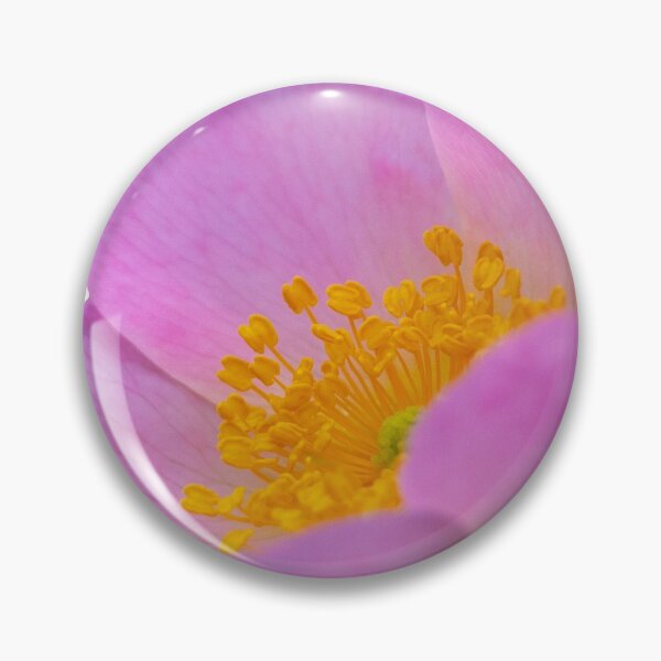 Item preview, English Dog Rose designed and sold by Dalyndigital Photography.