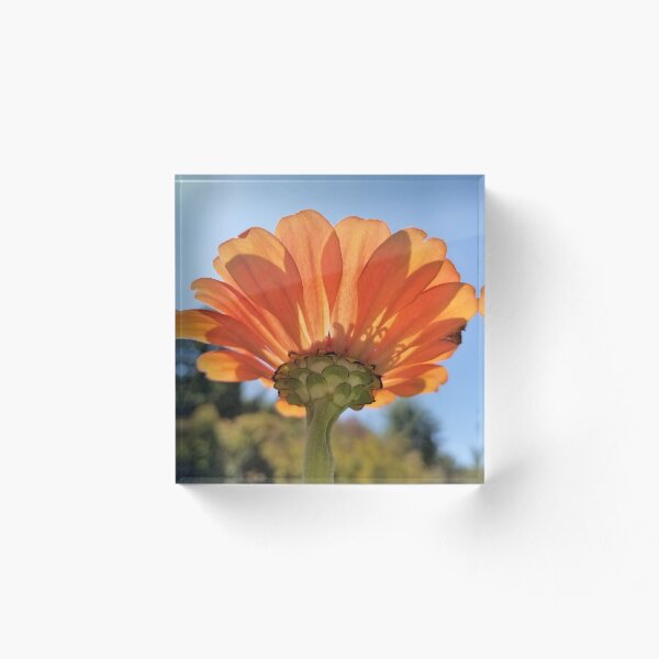 Item preview, Una perspectiva diferente designed and sold by ChatStroh.