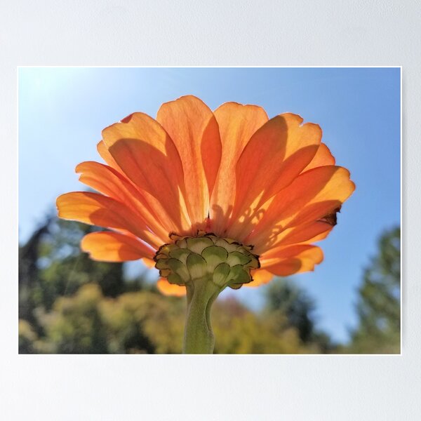 Item preview, A different perspective designed and sold by ChatStroh.