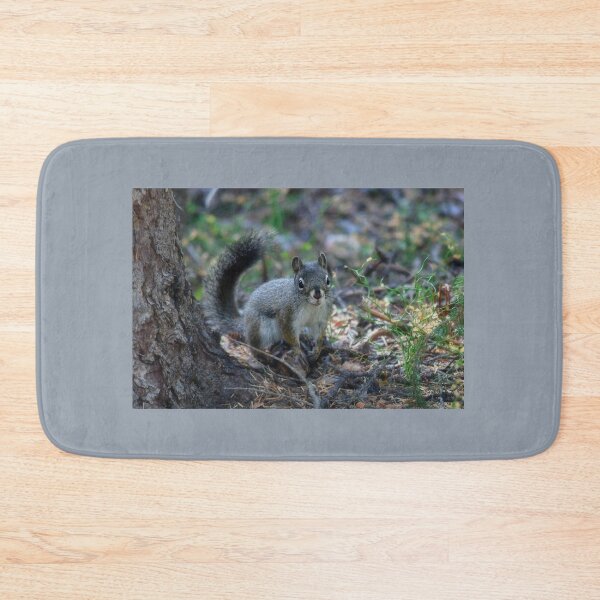 Item preview, Abert's Squirrel - Rocky Mountain National Park designed and sold by Karen Peron.