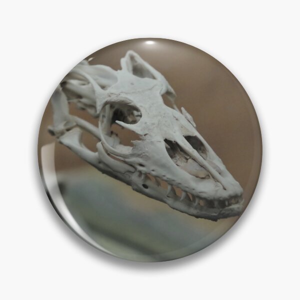 Item preview, Komodo Dragon skull designed and sold by Steven Allain.