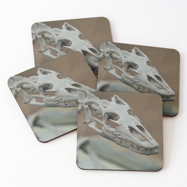 Item preview, Komodo Dragon skull designed and sold by Steven Allain.
