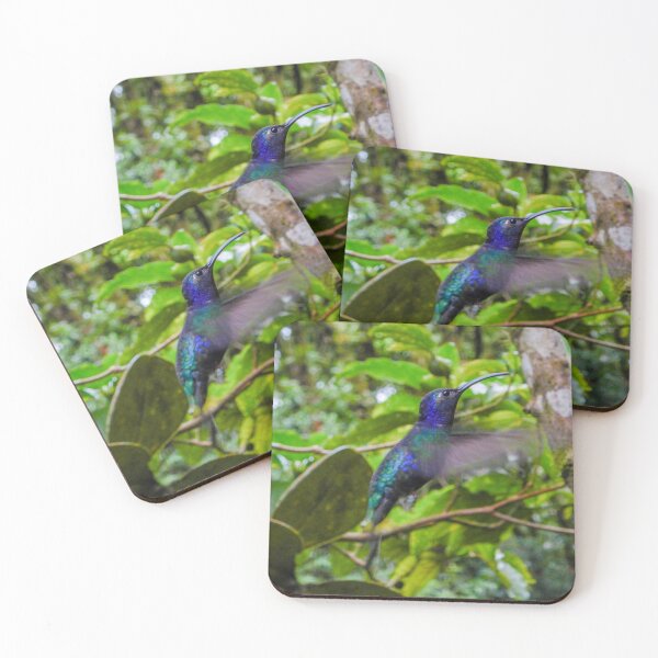 Item preview, Humming Bird designed and sold by matcha-bee.