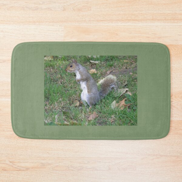 Item preview, Cute Female Squirrel with Paws on Belly Photograph designed and sold by naturegallery.