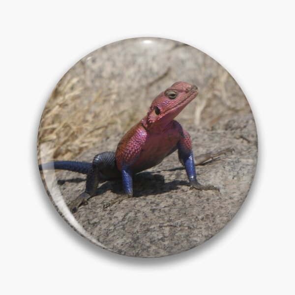 Item preview, Mwanza Rock Agama designed and sold by Steven Allain.