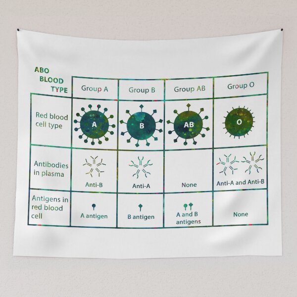 Item preview, ABO Blood Type Chart designed and sold by EvasDreams.