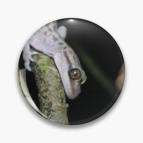 Item preview, Balu bow-fingered gecko designed and sold by Steven Allain.