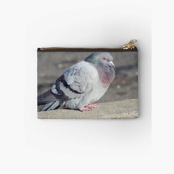 Item preview, The World's Most Beautiful Pigeon designed and sold by ArykaBrimmer.