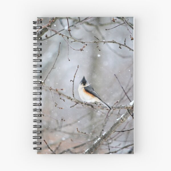Item preview, Teed-off Titmouse designed and sold by ChatStroh.