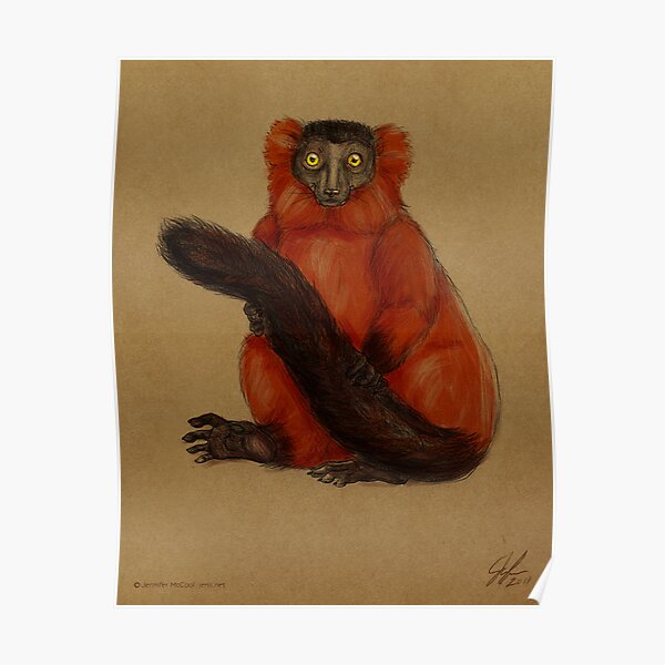 Ruffed Lemur Poster
