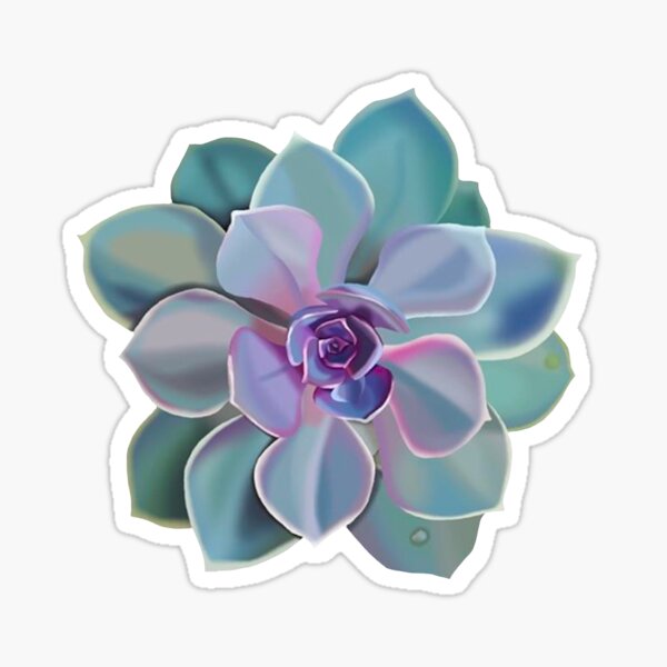Item preview, digital succulent drawing designed and sold by brandon1583.