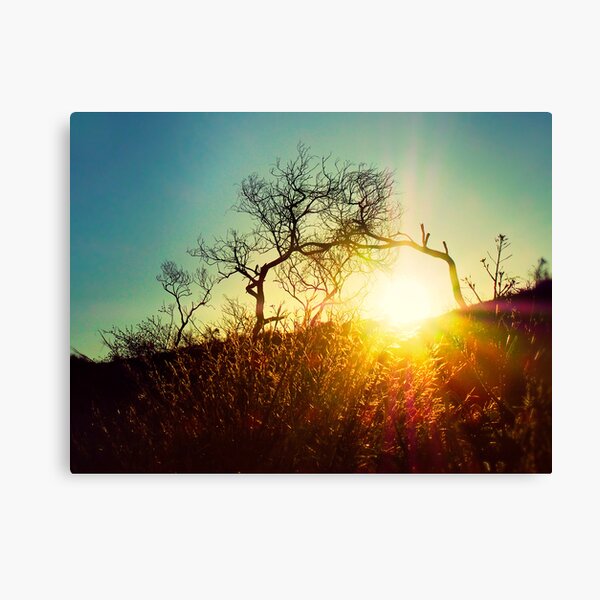 Here comes the sun..... Canvas Print