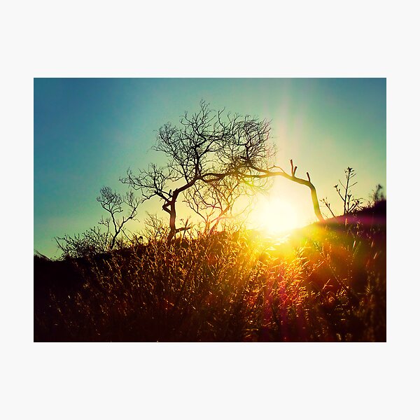 Here comes the sun..... Photographic Print