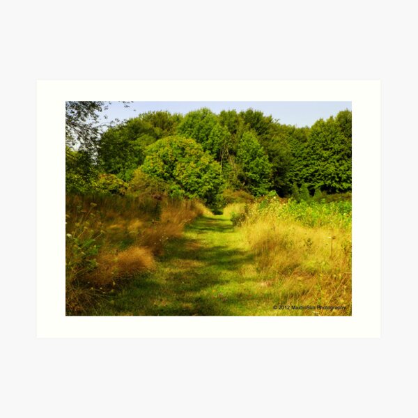 Autumn Approaches Art Print