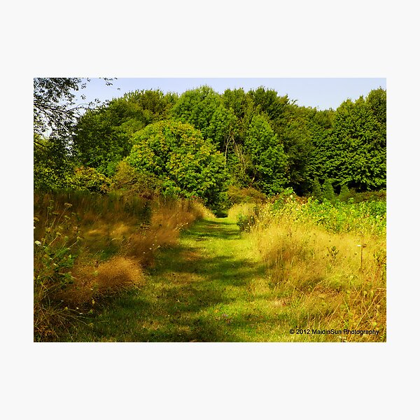 Autumn Approaches Photographic Print