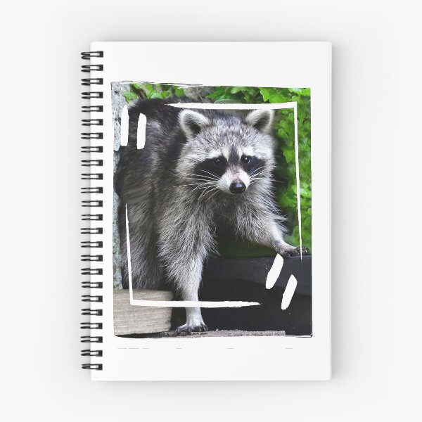 Item preview, racoon designed and sold by Glineur.
