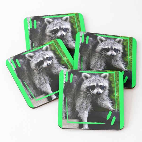 Item preview, racoon designed and sold by Glineur.