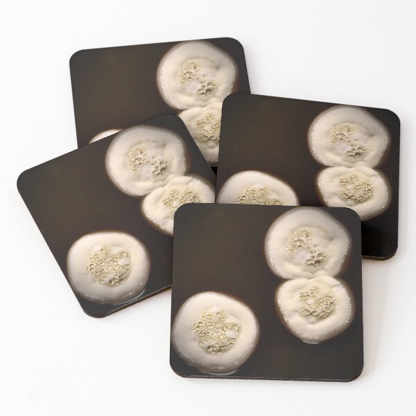Item preview, Streptomyces Jewels designed and sold by tasturm1.