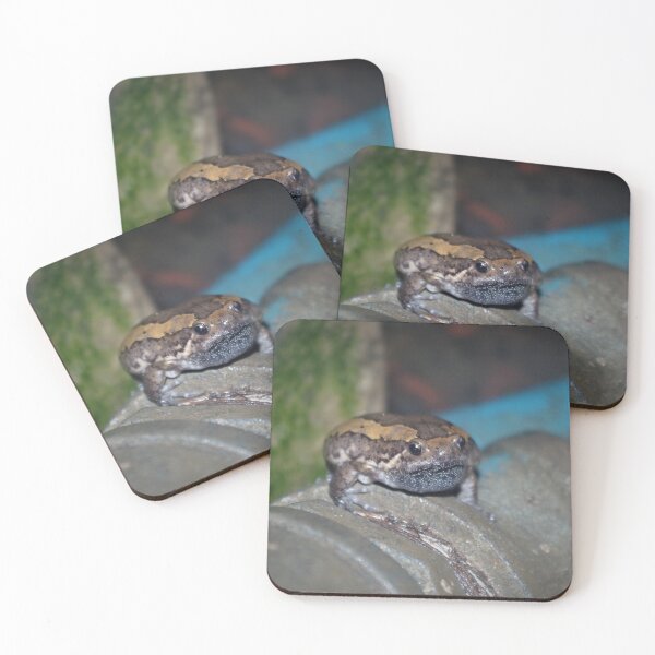 Item preview, Banded Bullfrog designed and sold by Steven Allain.