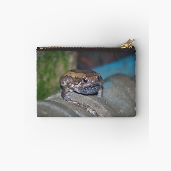 Item preview, Banded Bullfrog designed and sold by Steven Allain.