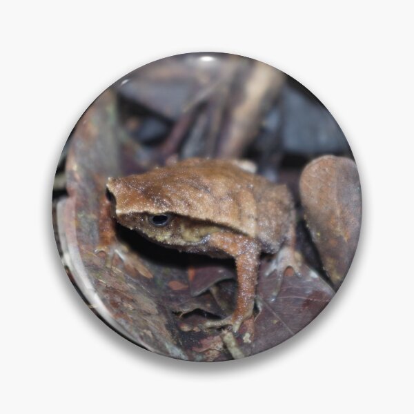 Item preview, Balu Sticky Frog designed and sold by Steven Allain.