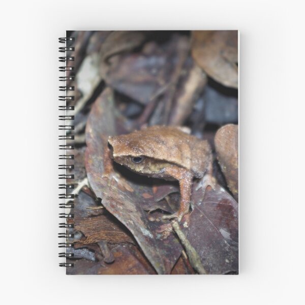 Item preview, Balu Sticky Frog designed and sold by Steven Allain.