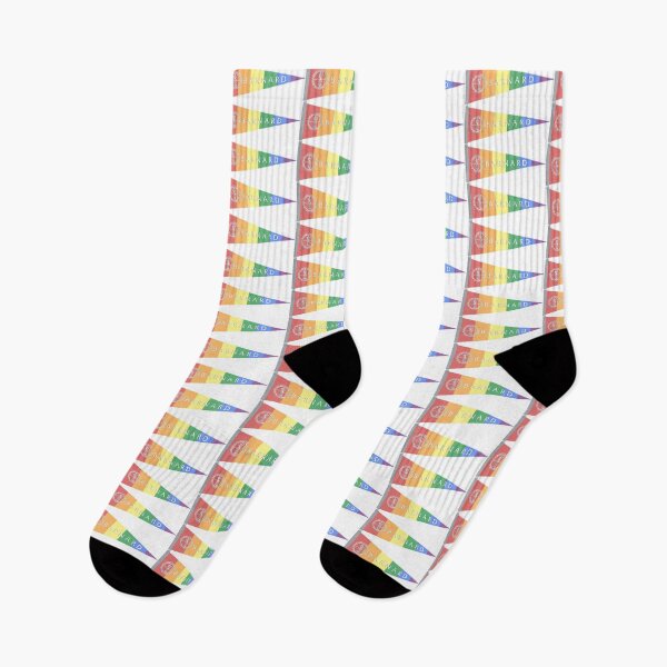 Item preview, Barnard College Pride designed and sold by dutchesskmw.
